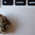 marijuana-and-workers-comp-wisconsin