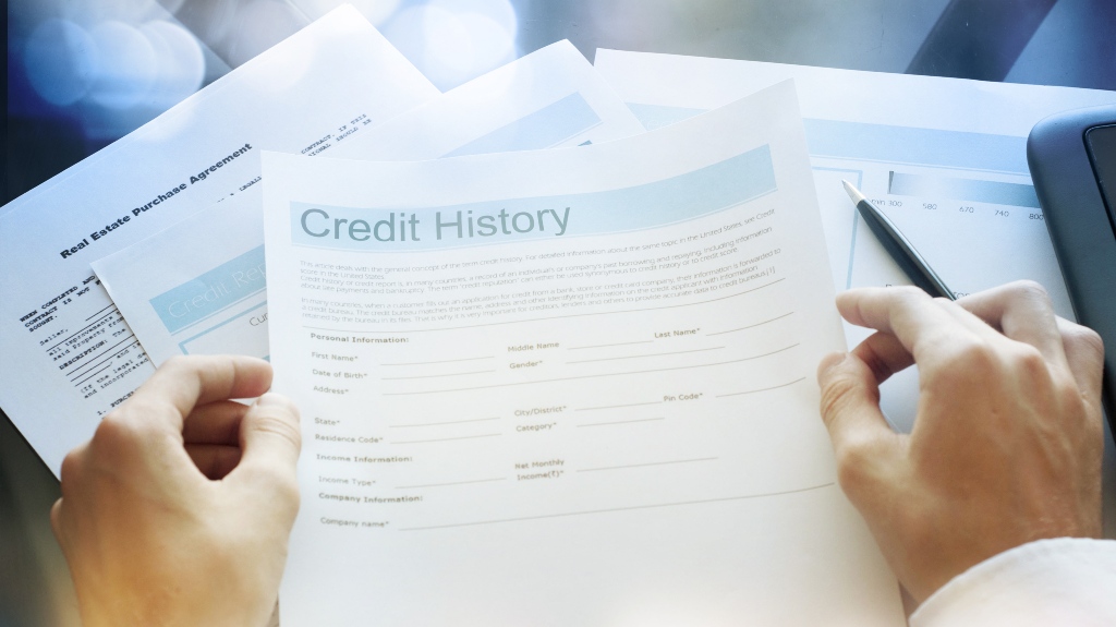 Someone looking at their credit history