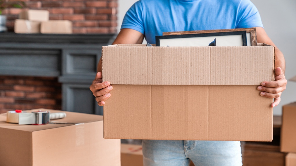 person holding a moving box